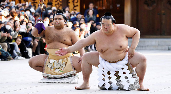 Sumo Nhật Bản là gì?