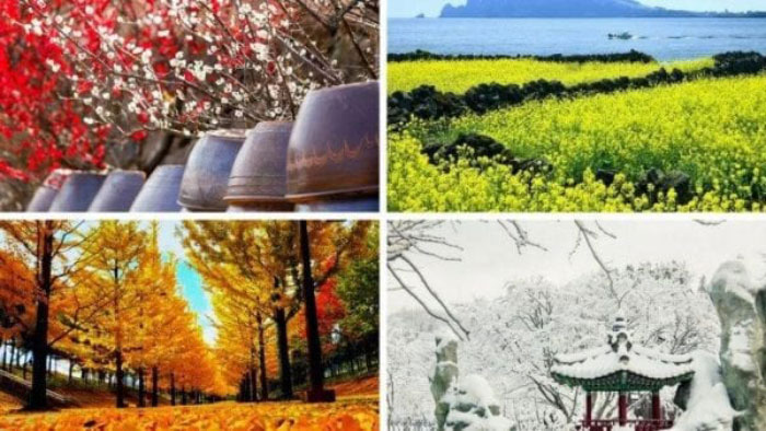 Bốn mùa rõ rệt ở Nhật Bản