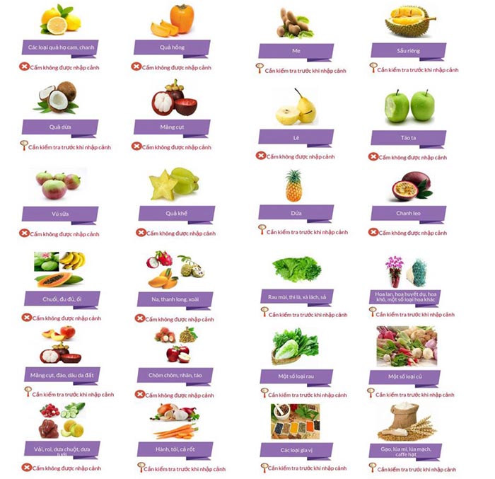 Danh sách một số loại trái cây cấm nhập cảnh vào Nhật