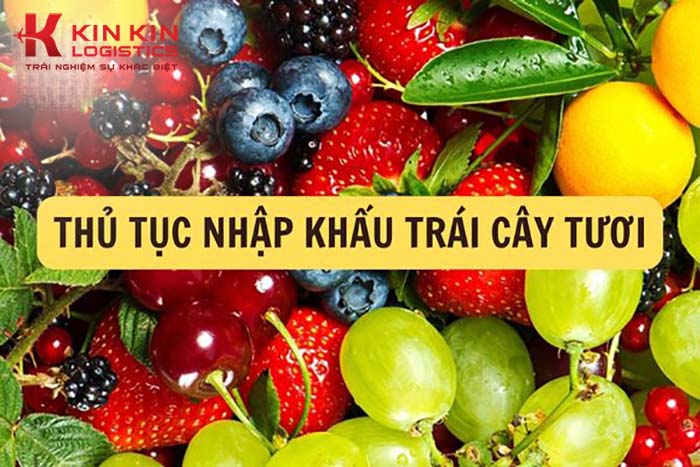 Thủ tục nhập khẩu trái cây tươi về Việt Nam