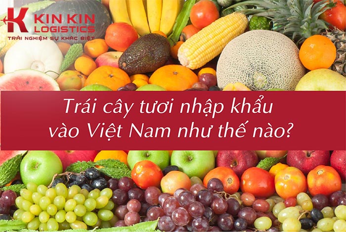 Trái cây tươi nhập khẩu về Việt Nam như thế nào?